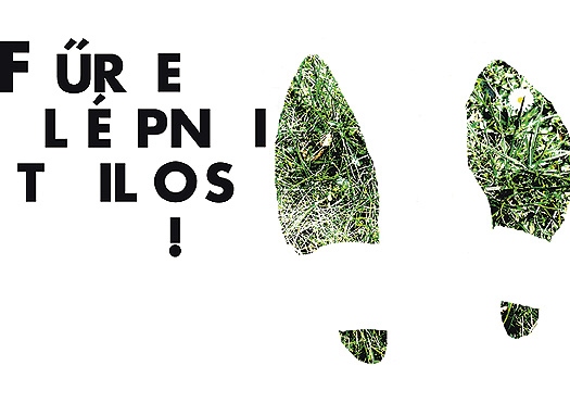 F�re l�pni tilos