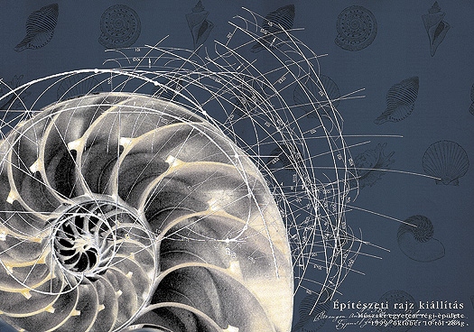 �p�t�szeti rajz ki�ll�t�s