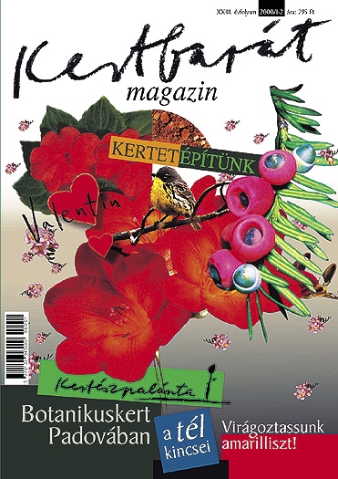 Relaunch: Kertbar�t magazin