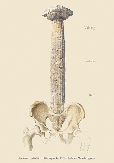 �p�t�szeti rajz ki�ll�t�s