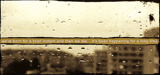 Earth (European Ways of Life