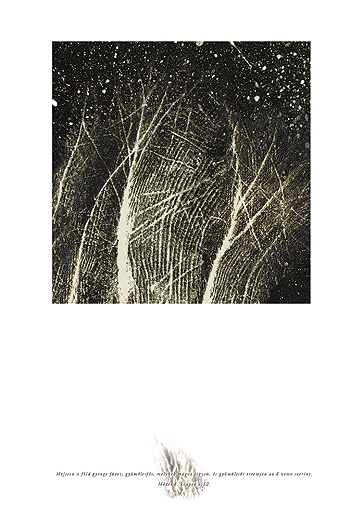 Harmadik nap, Teremt�s-sorozat