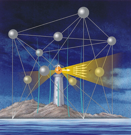 Solt Gy�rgy: Mire j�k a m�onok?