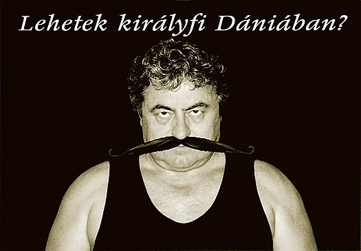 Lehetek kir�lyfi D�ni�ban?