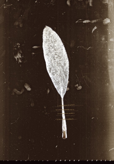 In memoriam J�zsef Attila (A semmi �g�n�)